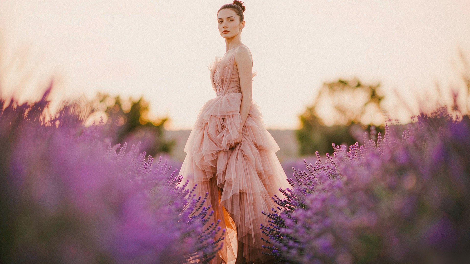 普罗旺斯·薰衣草田